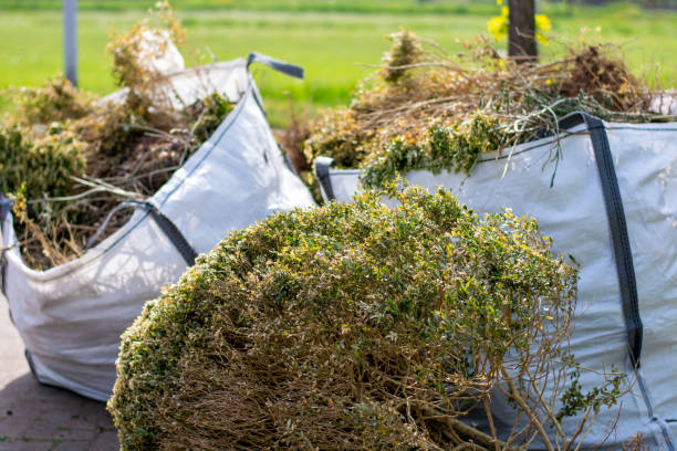 Best Local Junk Hauling  in Bryson City, NC